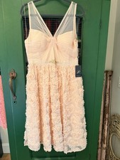 NWT Adrianna Papell Sleeveless Doe Rosette Chiffon Tulle Blush Gown 14