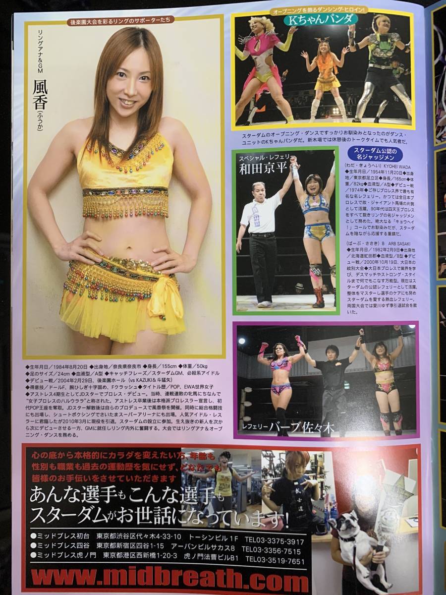 Stardom Brochure Vol 39 Women S Wrestling Mayu Iwatani Io Shirai Kairi Sane Ebay