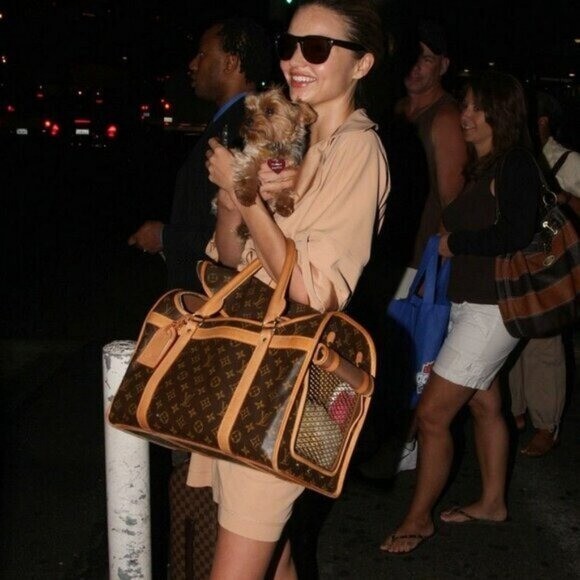 Louis Vuitton Sac Chien 40 Dog Carrier Monogram Pet Travel Bag