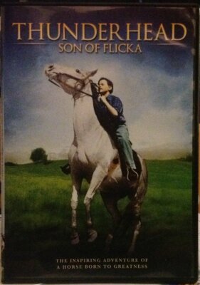 Thunderhead: Son Of Flicka '45 [DVD]