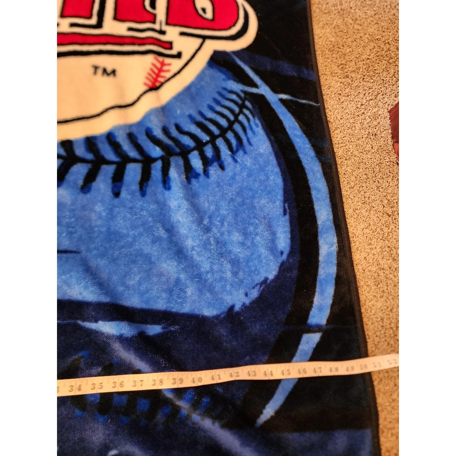 Minnesota Twins Blanket Soft Throw  Fleece Stadium Baseball Fan Sports 58x50