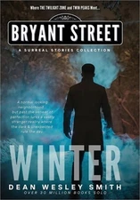 Winter: A Bryant Street Surreal Stories Collection (Hardback or Cased Book)