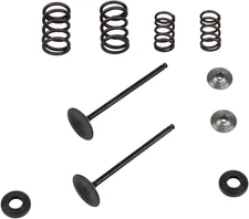 Kibblewhite Intake Stainless Conversion Valve and Spring Kit (96-96450)