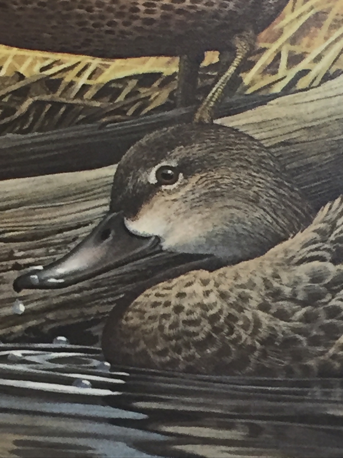 Harold Roe,1987, Ohio Duck Print,Ducks,1534/2000 ,No Stamp ,Mint.,35 ...