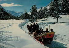 300412 VECCHIA CARTOLINA  CON SLITTA  SCHLITTENFAHRT INS ROSEGTAL SVIZZERA