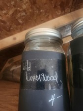 Wild Wormwood - Witchcraft Herbs By The Volume Ounce Dried