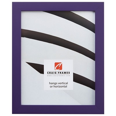 Craig Frames Confetti, Modern Purple Picture Frame, 5 x 7 5x7, 140639