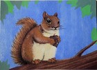 ACEO Art Card Original, Chonky Red Squirrel, 2.5inx3.5in Signed by Artist — photo 1