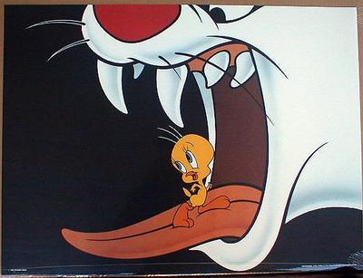 Fun Sylvester The Cat Tweety Bird 23.75 x 31.5 Looney Tunes 1000