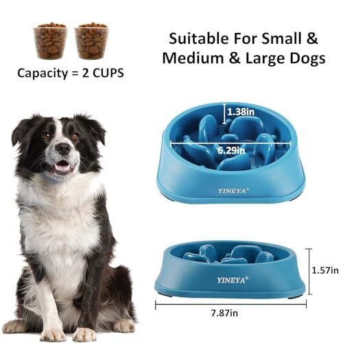2Pcs Slow Feeder Dog Bowls Large Breed, Dog Slow Feeder Bowl, Dog Food