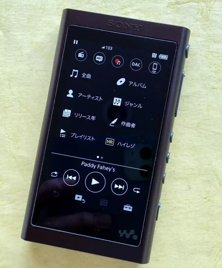 Sony NW-A55 BM Grayish Black Digital Audio Player Hi-Res Portable