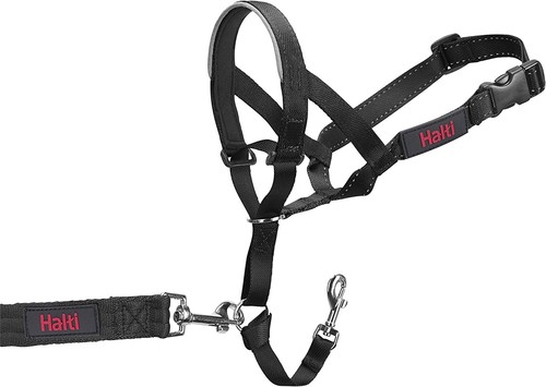 Halti Kopfhalsband Hund nicht ziehen Trainingsstopps Ziehen freundlich Größe 2 schwarz Neu - Bild 2 von 5