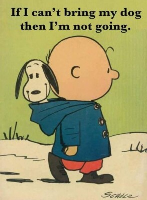 Funny Beagle Charlie Brown   refrigerator magnet 3 1/2x 4 1/2 '' Made in  USA