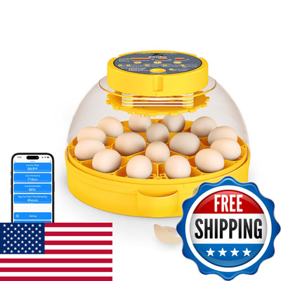 Ponhu 16 Egg Incubator Automatic Egg Turning And Humidity Controlincubators For