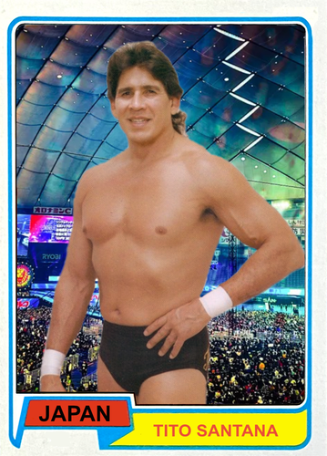 2025 LJACards "Japan Tour 1980" Puroresu Wrestling Trading Cards ACEO - Bild 41 von 44