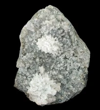 1.2 LB Natural Coral Chalcedony Cluster On Base Matrix Mineral Specimen