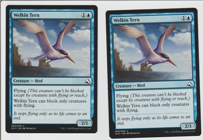 2 Welkin Tern cards from Jiang Yanggu & Mu Yangling Magic the Gathering Deck MTG
