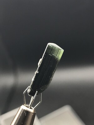 Green Cap Turmalin Bi Color Specimen 6,5Ct From Skardu AStak Nala, Pakistan.