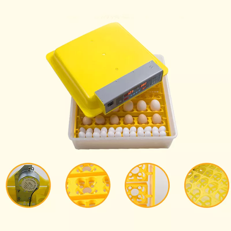 s-l1600.webp (800×800)