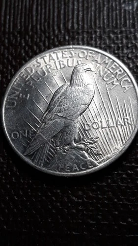 1925  Peace Silver Dollar    SM-70F    (I don't collect them--Good Luck)