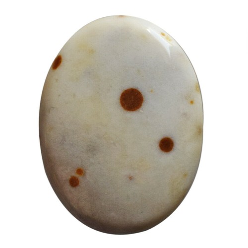 Pierre Précieuse Naturelle : Cabochon Lune En Coquille D'ormeau 23.05 Carats - Neuf
