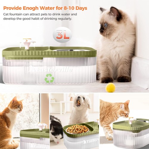 Cat Flower Water Fountain Water Fountains For Cats Indoor Cat
