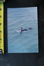 Randy Wright Horizons West Venice Jaime Perez JP Dogtown Vintage Surfing PHOTO