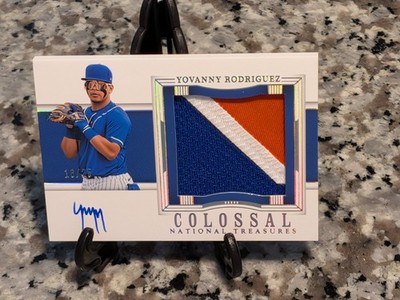 2024 Panini National Treasures Yovanny Rodriguez Prospect Patch Auto 16/25 Mets