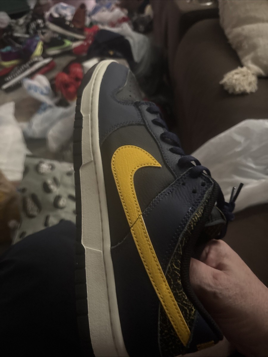 nike dunk low michigan state on feet