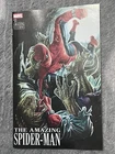 AMAZING SPIDER-MAN #13 - LEE BERMEJO AMAZING VISIONS VARIANT (2025)