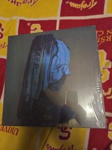 The Caretaker Vinyl | eBay