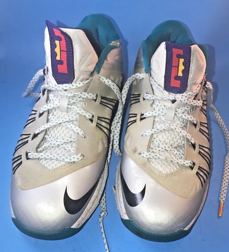 lebron air maxes