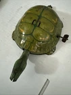 VTG Tin turtle J Chein & Co Good For Parts