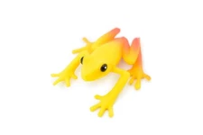 Frog Yellow and Red Rubber Toy Realistic Figure Model Replica Gift 2" F4409