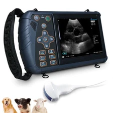 Veterinary Ultrasound Scanner Convex probe Pregnancy Test for Sheep Goat Pig dog