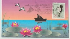US 1994 Black Necked Crane FDC Colorful cover by Salem Stamp Society, OR