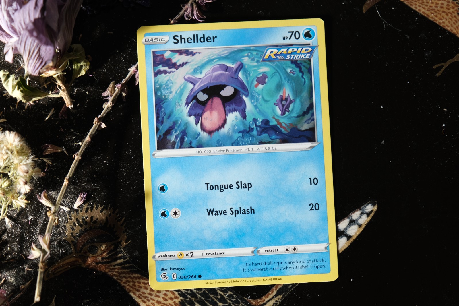 Shellder 050/264