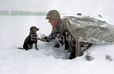 WW2 Picture Photo US Soldier of the 535th Battalion 99th Infantry Division 893