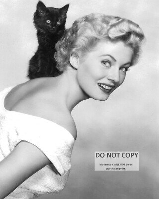 ACTRESS ANITA EKBERG WITH FELINE (CAT) FRIEND - 8X10 PUBLICITY PHOTO (EE-391)