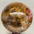 Natural Petrified Wood Polished Stone Quartz Crystal Sphere Ball Healing 1960G — photo 4