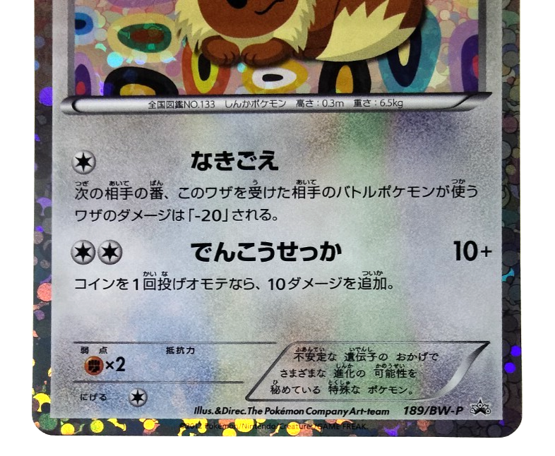 Eevee Eevee Collection Black & White 2012 189/BW-P Holo MP
