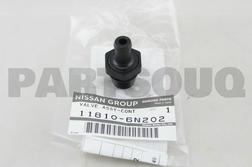 Nissan 11810 6n202