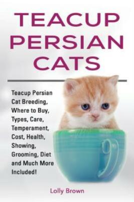 Teacup Persian Cats: Teacup Persian Cat Breeding, Where to Buy, Types, Care...