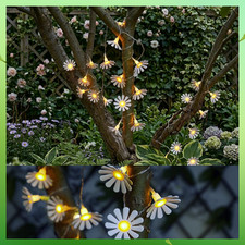 Image of Solar Powered Daisy Flower String Lights - 20 Warm White LED Garden Decor
