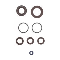 Serie Parolio Motor Piaggio NRG / Zip H2O 50`95-15 FüR Gilera Runner Fl 50 02 2T