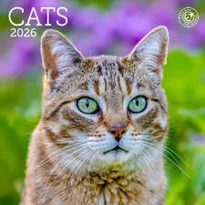 Ziga Media,  Cats 2026 Mini Wall Calendar, 7'' X 7'', 16-Month Calendar with Sta