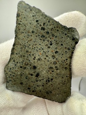 NWA 17913 CK5 New Carbonaceous Chondrite Meteorite 17.8 g slice dark chondrules