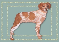 Brittany Spaniel Blank Note Card