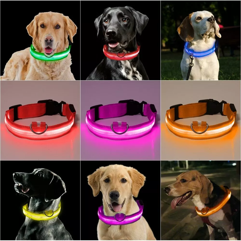 LED Pet Dog Collar Safety Luminous Flashing Light Up Battery