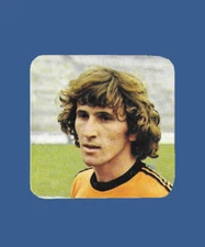 FIGURINE FOOTBALLERS PANINI 1979/80 - RECOVERY N.316 THE BENCHES - ZICO